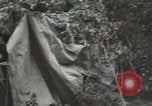Image of Soviet forces engage Germans on Eastern front in World War II Russia, 1941, second 37 stock footage video 65675066001