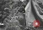 Image of Soviet forces engage Germans on Eastern front in World War II Russia, 1941, second 38 stock footage video 65675066001