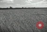Image of Soviet men Soviet Union, 1941, second 8 stock footage video 65675066003
