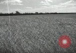 Image of Soviet men Soviet Union, 1941, second 9 stock footage video 65675066003