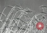 Image of Soviet men Soviet Union, 1941, second 10 stock footage video 65675066003