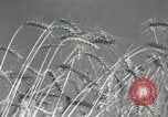 Image of Soviet men Soviet Union, 1941, second 11 stock footage video 65675066003