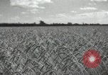 Image of Soviet men Soviet Union, 1941, second 12 stock footage video 65675066003