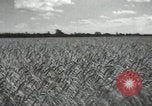 Image of Soviet men Soviet Union, 1941, second 13 stock footage video 65675066003