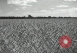 Image of Soviet men Soviet Union, 1941, second 14 stock footage video 65675066003