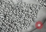 Image of Soviet men Soviet Union, 1941, second 55 stock footage video 65675066003