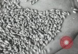Image of Soviet men Soviet Union, 1941, second 56 stock footage video 65675066003