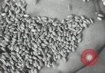 Image of Soviet men Soviet Union, 1941, second 57 stock footage video 65675066003