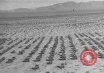 Image of American tanks California United States USA, 1943, second 12 stock footage video 65675066014