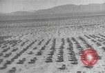 Image of American tanks California United States USA, 1943, second 13 stock footage video 65675066014