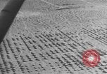 Image of American tanks California United States USA, 1943, second 18 stock footage video 65675066014