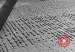 Image of American tanks California United States USA, 1943, second 19 stock footage video 65675066014