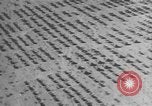 Image of American tanks California United States USA, 1943, second 24 stock footage video 65675066014