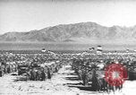 Image of American tanks California United States USA, 1943, second 31 stock footage video 65675066014