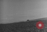 Standbild der britischen Armee 8 Tunesien Nordafrika, 1943, aus Sekunde 56 historischem Filmmaterial Videoclip 65675066017
