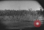 Image des soldats alliés Buna Nouvelle Guinée, 1943, de la seconde 7 séquences d'archives historiques vidéo 65675066018