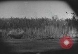 Image des soldats alliés Buna Nouvelle Guinée, 1943, de la seconde 8 séquences d'archives historiques vidéo 65675066018