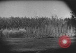 Image des soldats alliés Buna Nouvelle Guinée, 1943, de la seconde 9 séquences d'archives historiques vidéo 65675066018