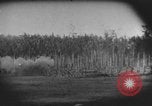Image des soldats alliés Buna Nouvelle Guinée, 1943, de la seconde 10 séquences d'archives historiques vidéo 65675066018