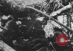 Image des soldats alliés Buna Nouvelle Guinée, 1943, de la seconde 13 séquences d'archives historiques vidéo 65675066018