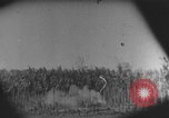Image des soldats alliés Buna Nouvelle Guinée, 1943, de la seconde 16 séquences d'archives historiques vidéo 65675066018