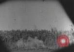 Image des soldats alliés Buna Nouvelle Guinée, 1943, de la seconde 17 séquences d'archives historiques vidéo 65675066018