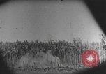 Image des soldats alliés Buna Nouvelle Guinée, 1943, de la seconde 18 séquences d'archives historiques vidéo 65675066018
