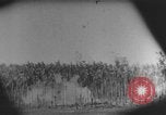 Image des soldats alliés Buna Nouvelle Guinée, 1943, de la seconde 19 séquences d'archives historiques vidéo 65675066018