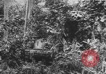 Image des soldats alliés Buna Nouvelle Guinée, 1943, de la seconde 23 séquences d'archives historiques vidéo 65675066018