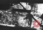 Image des soldats alliés Buna Nouvelle Guinée, 1943, de la seconde 26 séquences d'archives historiques vidéo 65675066018