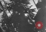 Image des soldats alliés Buna Nouvelle Guinée, 1943, de la seconde 33 séquences d'archives historiques vidéo 65675066018