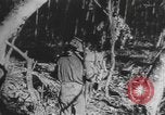 Image des soldats alliés Buna Nouvelle Guinée, 1943, de la seconde 36 séquences d'archives historiques vidéo 65675066018
