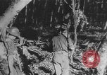 Image des soldats alliés Buna Nouvelle Guinée, 1943, de la seconde 37 séquences d'archives historiques vidéo 65675066018