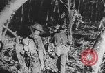 Image des soldats alliés Buna Nouvelle Guinée, 1943, de la seconde 38 séquences d'archives historiques vidéo 65675066018