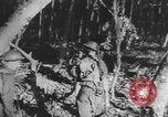 Image des soldats alliés Buna Nouvelle Guinée, 1943, de la seconde 39 séquences d'archives historiques vidéo 65675066018