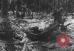 Image des soldats alliés Buna Nouvelle Guinée, 1943, de la seconde 45 séquences d'archives historiques vidéo 65675066018