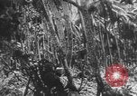 Image des soldats alliés Buna Nouvelle Guinée, 1943, de la seconde 50 séquences d'archives historiques vidéo 65675066018
