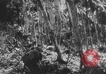 Image des soldats alliés Buna Nouvelle Guinée, 1943, de la seconde 51 séquences d'archives historiques vidéo 65675066018