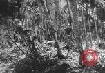 Image des soldats alliés Buna Nouvelle Guinée, 1943, de la seconde 52 séquences d'archives historiques vidéo 65675066018