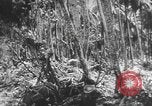 Image des soldats alliés Buna Nouvelle Guinée, 1943, de la seconde 53 séquences d'archives historiques vidéo 65675066018