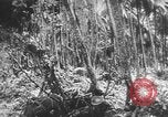 Image des soldats alliés Buna Nouvelle Guinée, 1943, de la seconde 54 séquences d'archives historiques vidéo 65675066018