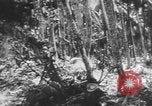 Image des soldats alliés Buna Nouvelle Guinée, 1943, de la seconde 55 séquences d'archives historiques vidéo 65675066018