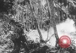 Image des soldats alliés Buna Nouvelle Guinée, 1943, de la seconde 57 séquences d'archives historiques vidéo 65675066018