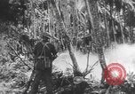 Image des soldats alliés Buna Nouvelle Guinée, 1943, de la seconde 58 séquences d'archives historiques vidéo 65675066018
