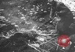 Image of Soviet soldiers Stalingrad Russia Soviet Union, 1943, second 23 stock footage video 65675066019