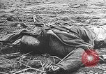 Image of Soviet soldiers Stalingrad Russia Soviet Union, 1943, second 28 stock footage video 65675066019