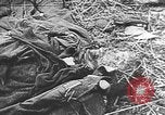 Image of Soviet soldiers Stalingrad Russia Soviet Union, 1943, second 29 stock footage video 65675066019