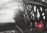 Immagine di Cyclone Elgin Illinois USA, 1933, secondo 55 filmato di repertorio 65675066023