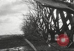 Immagine di Cyclone Elgin Illinois USA, 1933, secondo 56 filmato di repertorio 65675066023