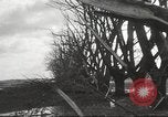 Immagine di Cyclone Elgin Illinois USA, 1933, secondo 58 filmato di repertorio 65675066023